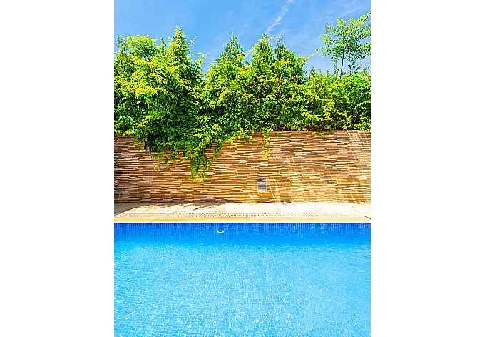 Private pool and terrace . - Villa Elmas Paradise . (Galerie de photos) }}