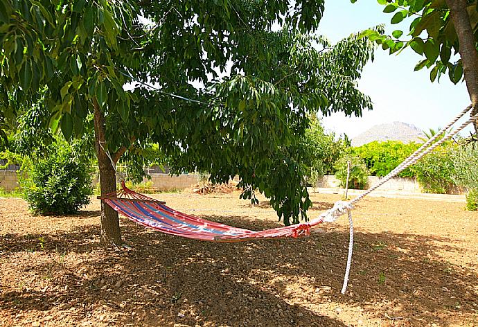 Garden area . - Villa Isa . (Fotogalerie) }}