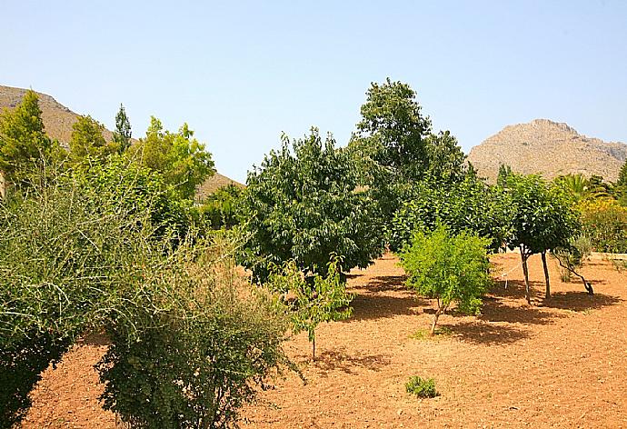 Garden area . - Villa Isa . (Fotogalerie) }}