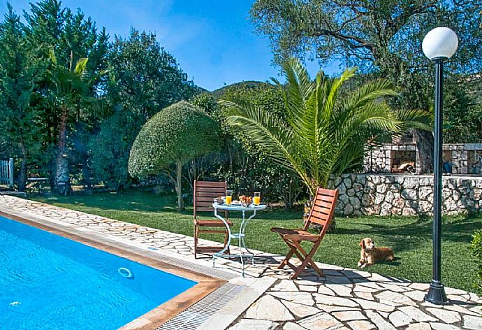 Beautiful villa with private pool and terrace . - Villa Malama . (Galerie de photos) }}