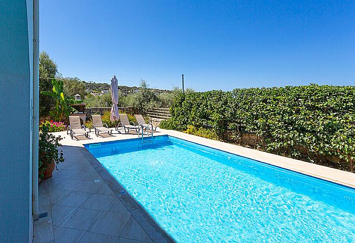 Private pool and terrace . - Villa Olive . (Galería de imágenes) }}