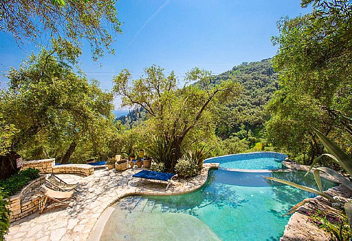 Private infinity pool and terrace . - The Olive Press - Agni Bay . (Galleria fotografica) }}