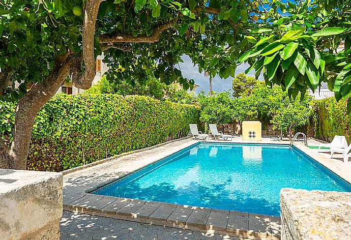 Private pool and terrace . - Beach Villa Miguel . (Галерея фотографий) }}
