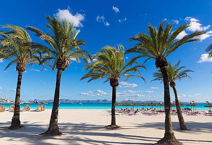 Platja de Alcudia . - Villa Roig . (Галерея фотографий) }}