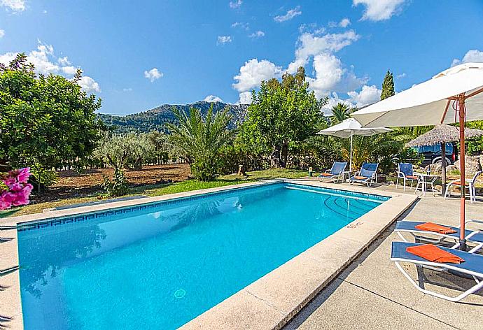 Private pool and terrace . - Villa Cal Cristo . (Photo Gallery) }}