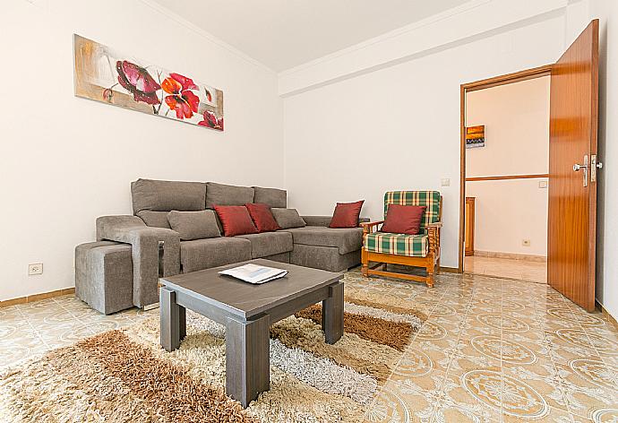 Beautiful living room with TV and ornamental fireplace . - Beach Villa Barreto . (Galería de imágenes) }}