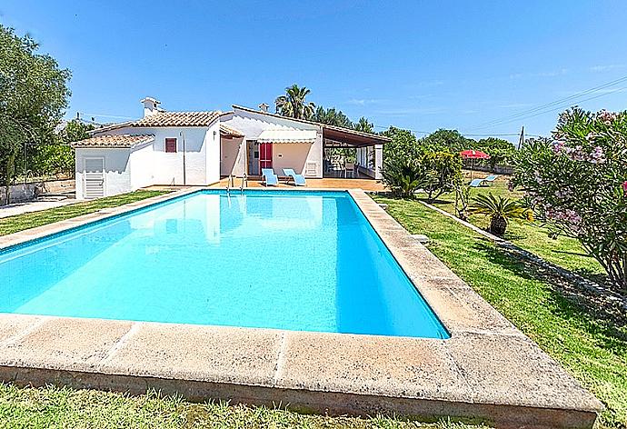 Private pool with terrace and garden area . - Villa Dionis . (Photo Gallery) }}