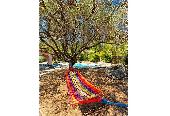 Garden area with hammock . - Villa Apollo . (Galerie de photos) }}