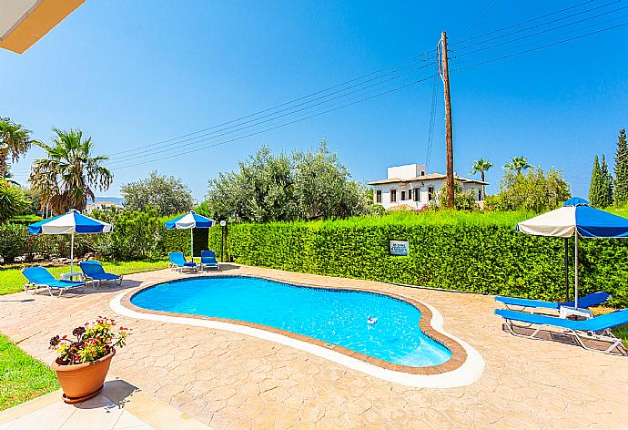 Private pool, terrace, and garden . - Villa Halima Fostira . (Galería de imágenes) }}