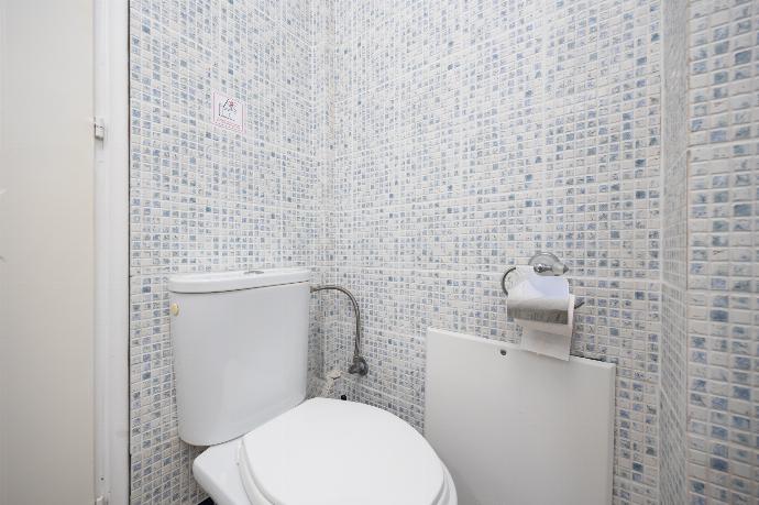 En suite bathroom with shower . - Villa Thalia Sofia . (Photo Gallery) }}