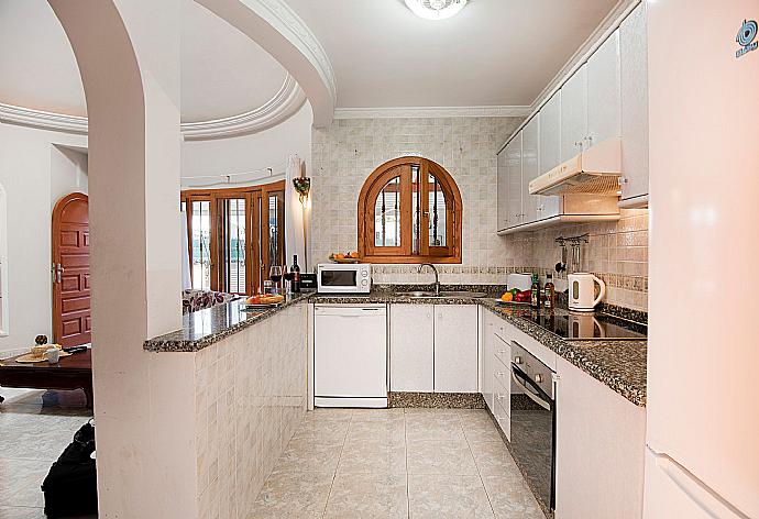 Equipped kitchen . - Villa Palmira . (Fotogalerie) }}