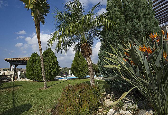 Garden area . - Villa Serena Peristeronas . (Photo Gallery) }}