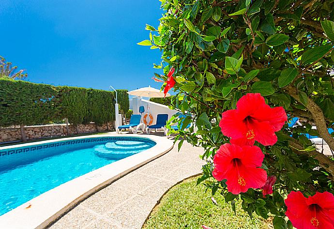 Private pool and garden . - Villa Noixa . (Photo Gallery) }}