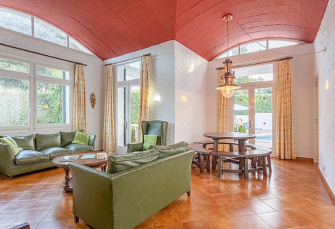 Living room with sofas, dining area, ornamental fireplace, WiFi internet, satellite TV, DVD player, and terrace access . - Villa Satalaia . (Photo Gallery) }}