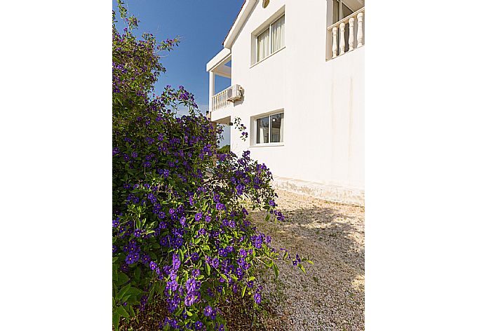 Garden . - Villa Regina 1 . (Photo Gallery) }}