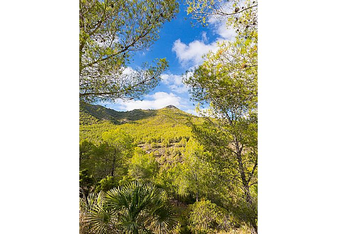 Tejeda National Park . - Miguel Franco . (Photo Gallery) }}