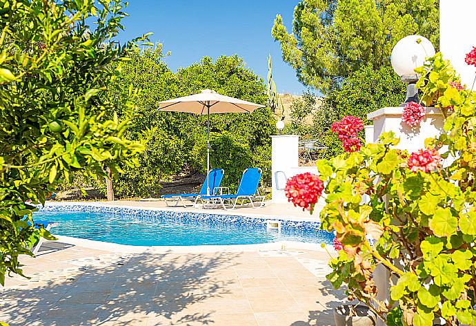 Private pool and terrace . - Villa Charoula Tessera . (Fotogalerie) }}