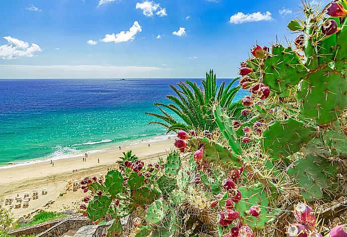 Local beach . - Villa Dream Ocho . (Fotogalerie) }}