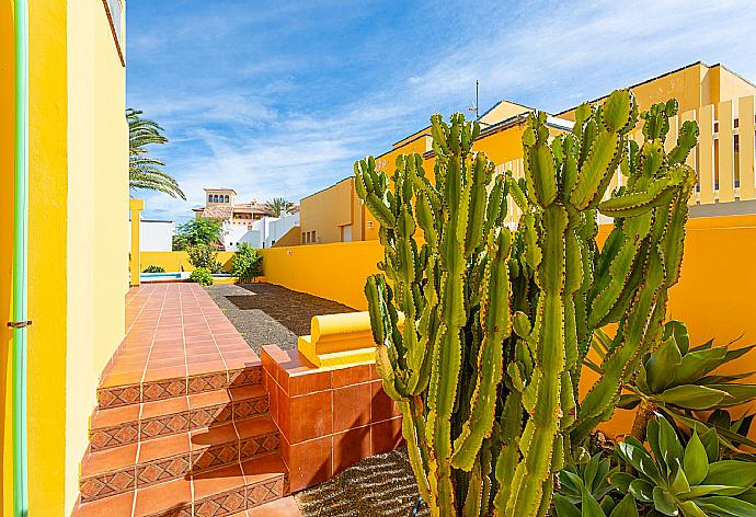 Garden area . - Villa Mariposa . (Galerie de photos) }}