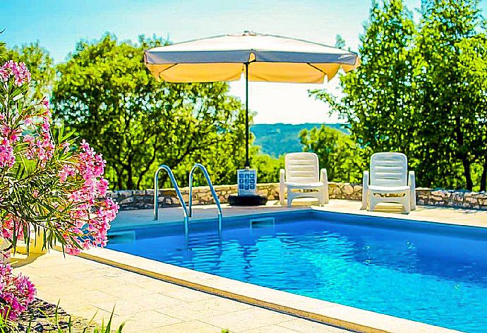 Private swimming pool . - Villa Paradiso . (Photo Gallery) }}