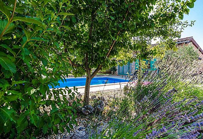 Private pool, terrace, and garden . - Joans Cottage . (Galleria fotografica) }}