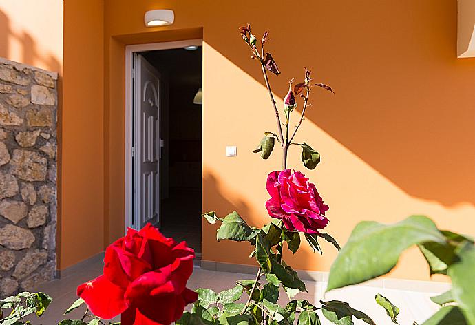 Stop and smell the roses . - Villa Danaia . (Photo Gallery) }}