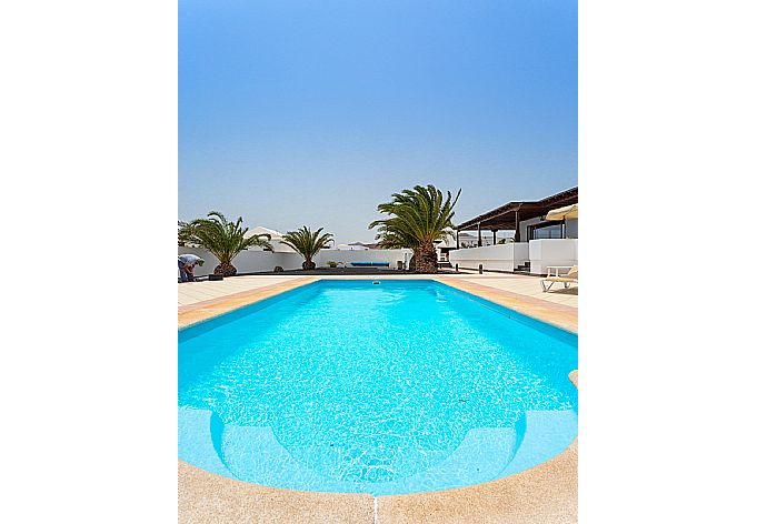 Private pool and terrace . - Villa Dorada . (Photo Gallery) }}