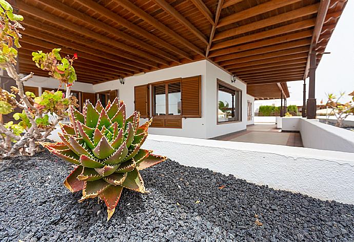 Garden area . - Villa Dorada . (Galleria fotografica) }}