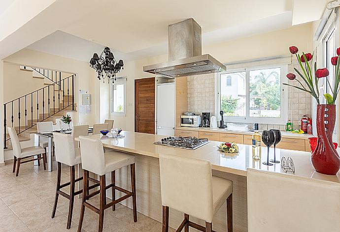 Equipped kitchen . - Villa Nikol . (Photo Gallery) }}