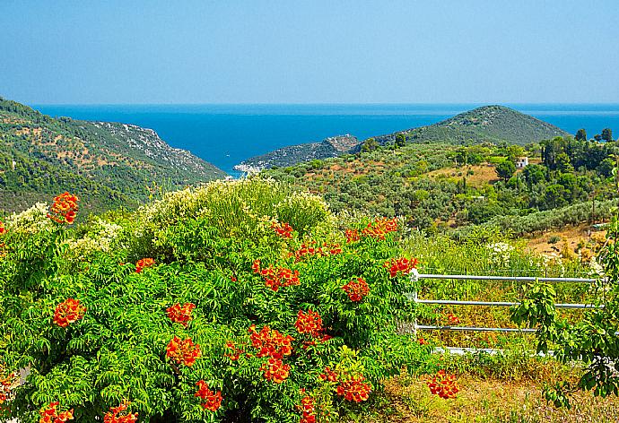 View from terrace . - Villa Glafki . (Fotogalerie) }}