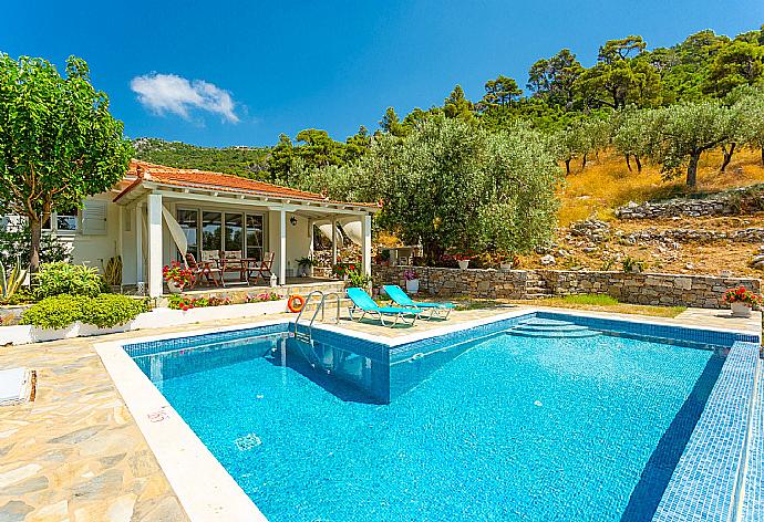 Beautiful villa with private pool and terrace . - Villa Tassoula . (Galerie de photos) }}