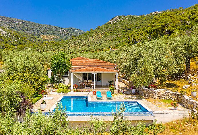 Beautiful villa with private pool and terrace . - Villa Tassoula . (Galleria fotografica) }}