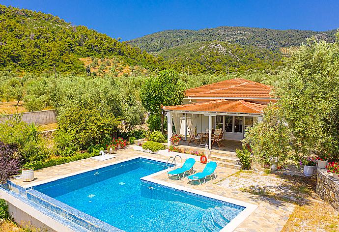 Beautiful villa with private pool and terrace . - Villa Tassoula . (Fotogalerie) }}