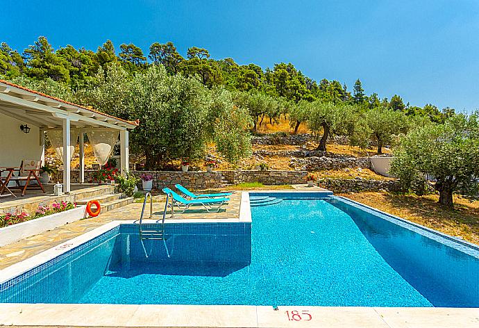 Private pool and terrace . - Villa Tassoula . (Photo Gallery) }}