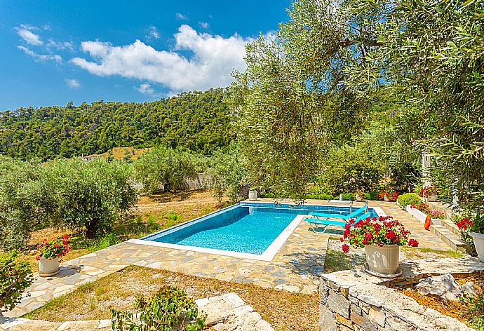 Private pool and terrace . - Villa Tassoula . (Galerie de photos) }}