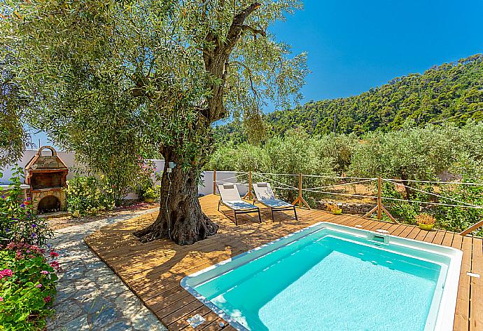 ,Private pool and terrace . - Neptune . (Photo Gallery) }}