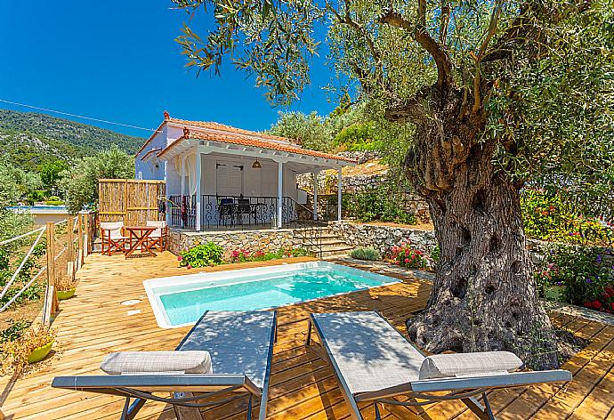 Beautiful villa with private pool and terrace . - Neptune . (Fotogalerie) }}