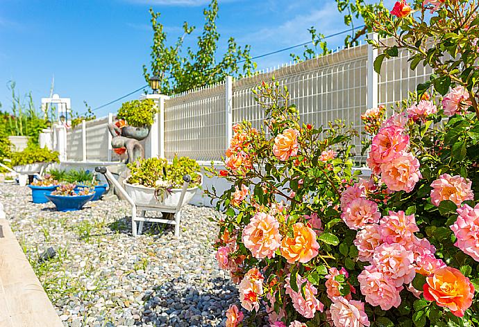 Garden area . - Villa Mina . (Fotogalerie) }}