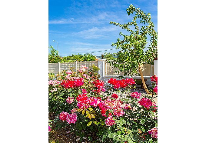 Garden area . - Villa Mina . (Galería de imágenes) }}