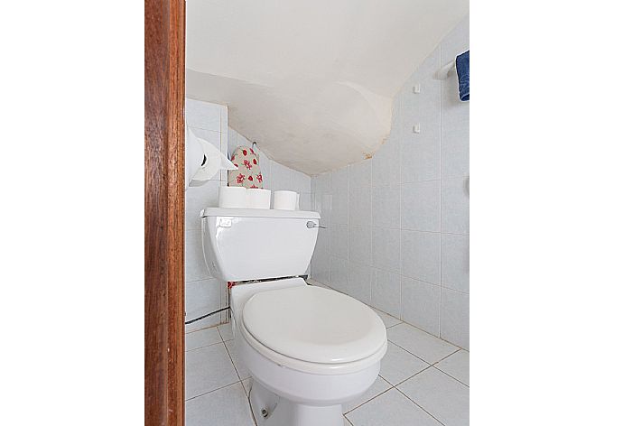 Family bathroom with overhead shower . - Villa Aristotelis . (Photo Gallery) }}