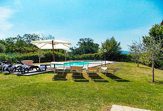Private pool, terrace and lawn . - Villa Moderna . (Galería de imágenes) }}