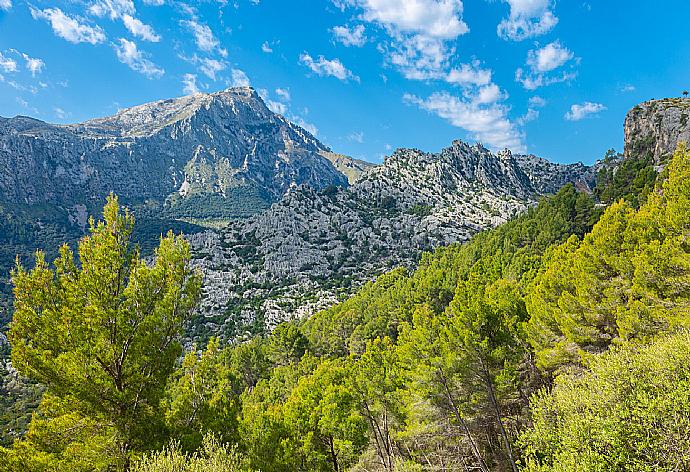 West coast mountains . - Villa Son Amer . (Fotogalerie) }}