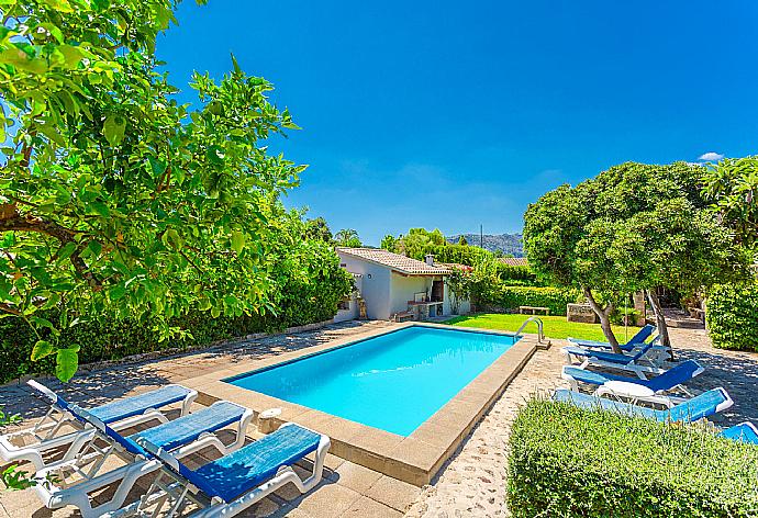 Private pool, terrace, and garden . - Villa La Paz . (Photo Gallery) }}