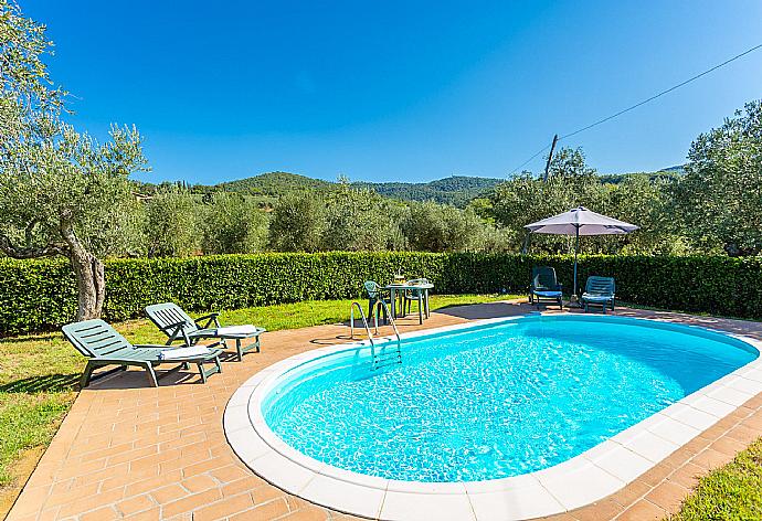 Private pool, terrace, and garden . - Villa Le Balze . (Galería de imágenes) }}