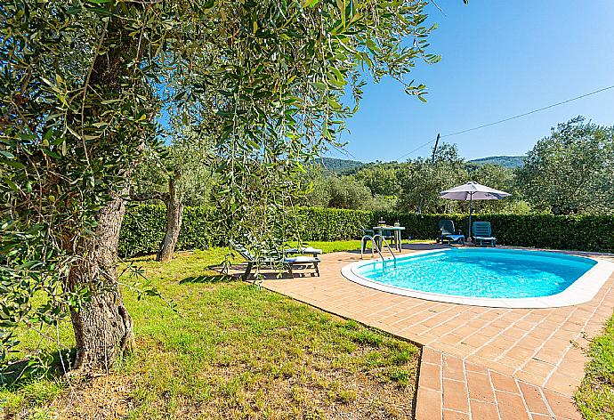 Private pool, terrace, and garden . - Villa Le Balze . (Photo Gallery) }}