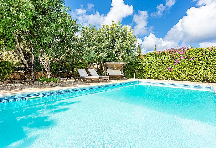 Private pool and terrace . - Villa Evelina . (Галерея фотографий) }}