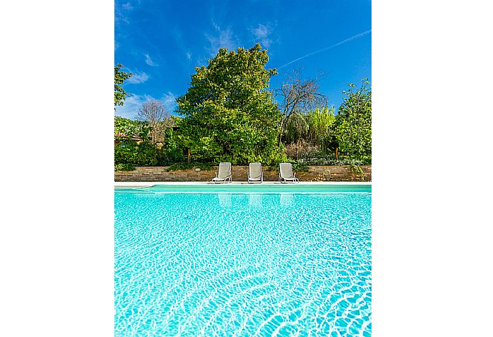 Private pool, terrace, and garden . - Villa Casale Federica . (Галерея фотографий) }}