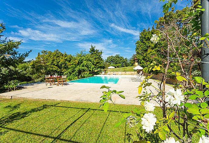 Garden area . - Villa Casale Federica . (Galerie de photos) }}