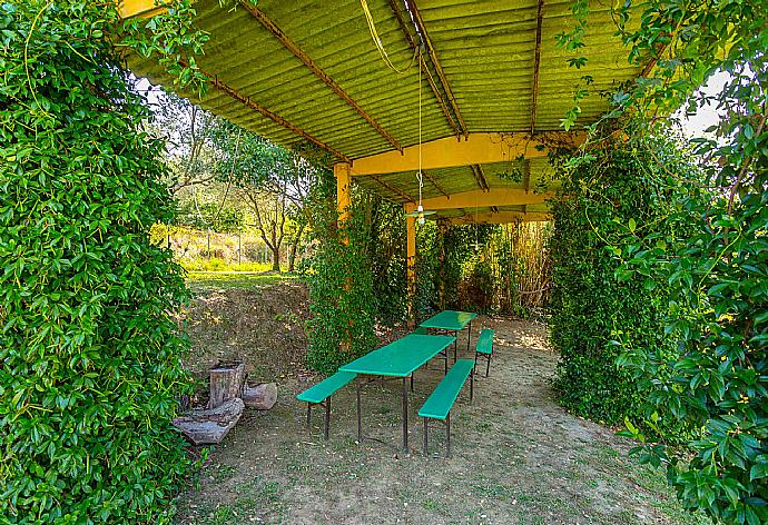 Garden area . - Villa Casale Federica . (Fotogalerie) }}