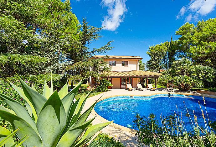 Beautiful villa with private pool, terrace, and garden . - Villa Venere . (Galerie de photos) }}